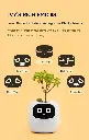 71+sDLHsY1L._UF894,1000_QL80_FMwebp_.webp